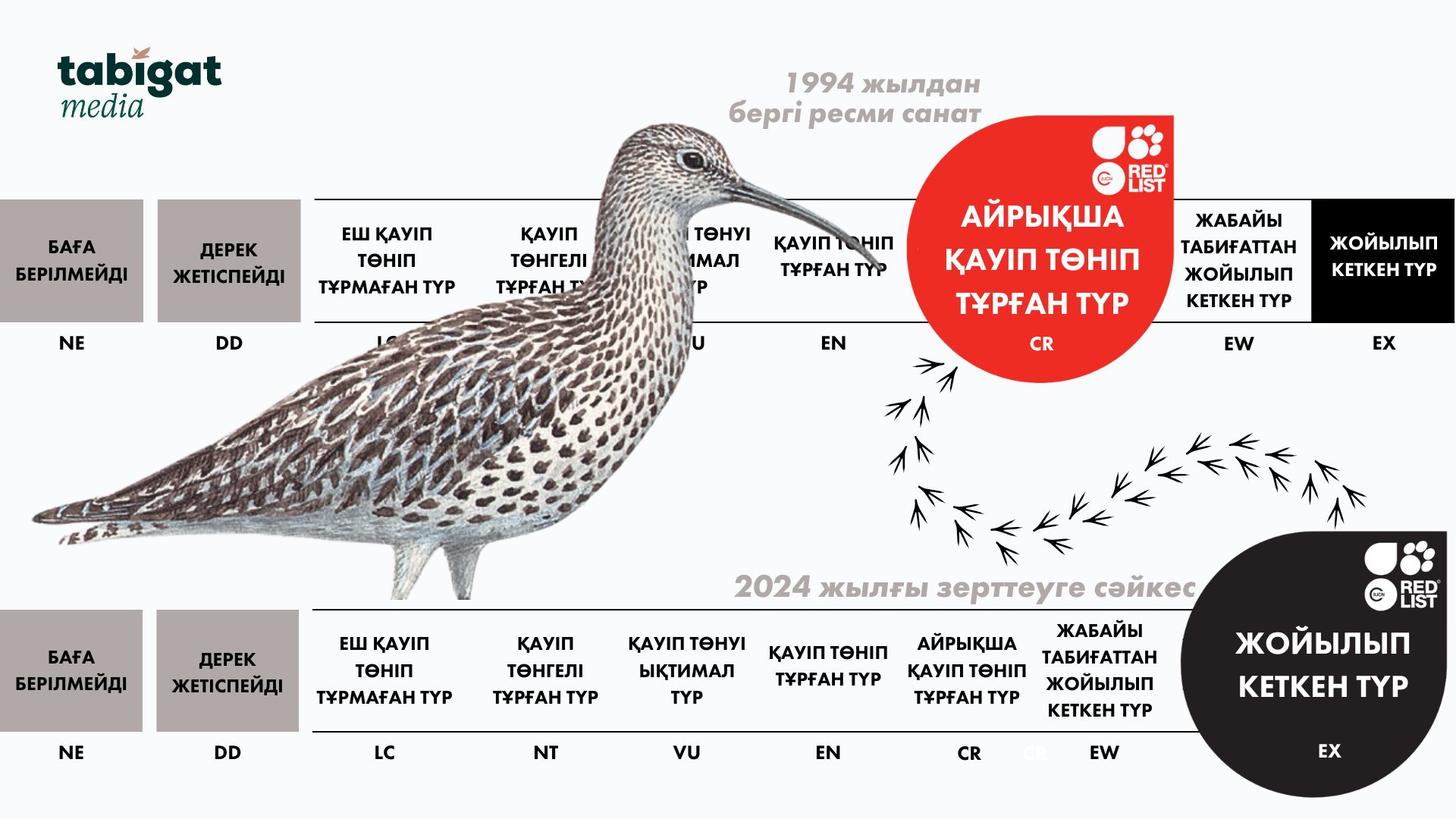 Жалаңаш емізік фотосының басып шығарылатын нұсқасы